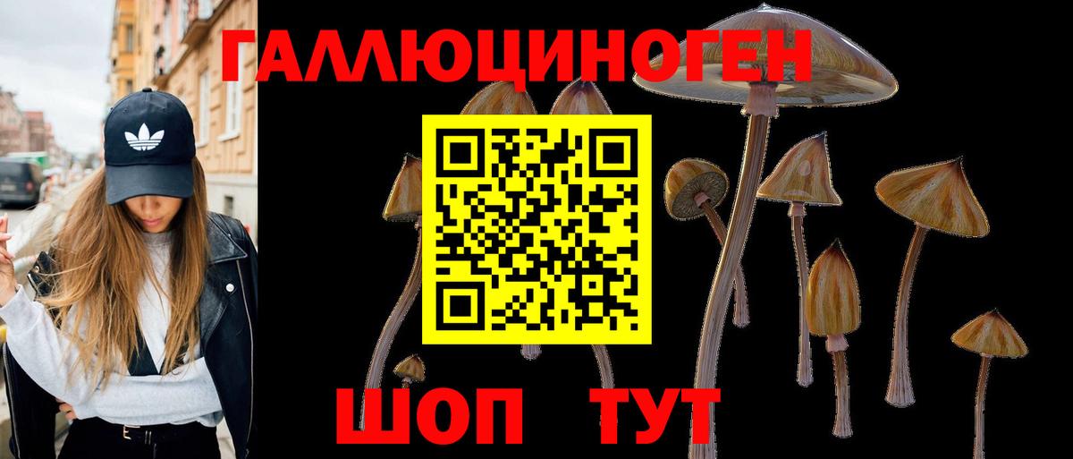 Галлюциногенные грибы мухоморы  Галлюциногенные грибы прущие грибы  Вход с VPN  Черкесск 