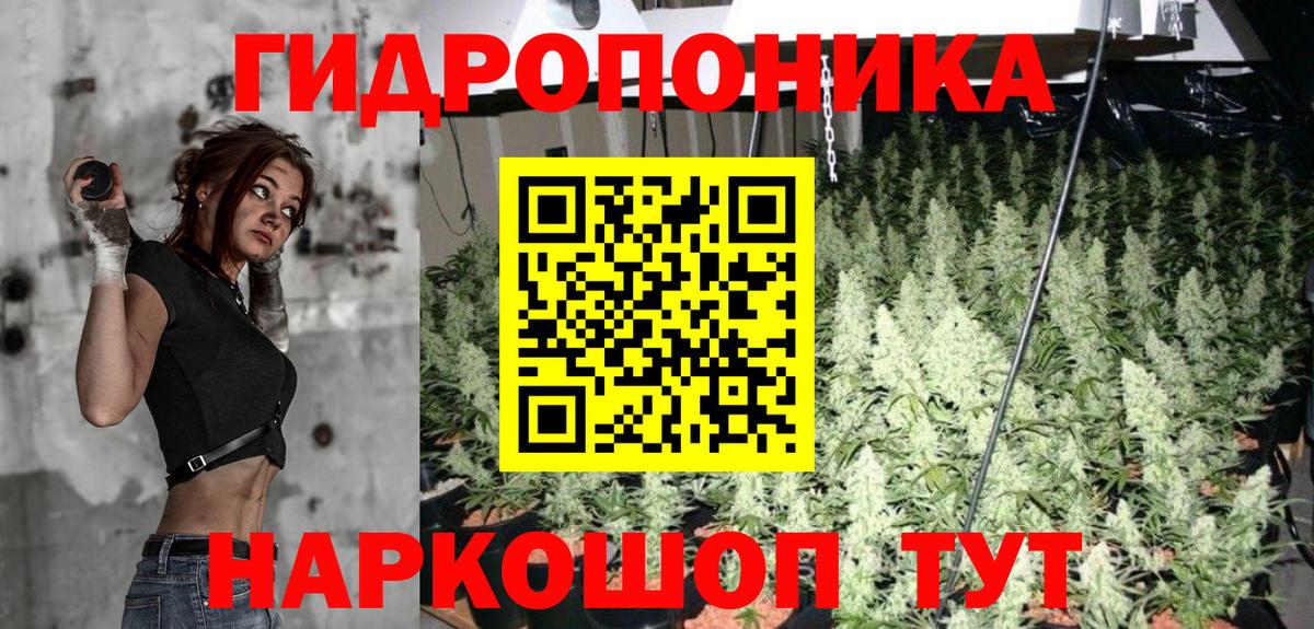 Бошки Шишки ГИДРОПОН  МАРИХУАНА AK-47  Черкесск  Вход с VPN  Бошки марихуана SATIVA & INDICA 